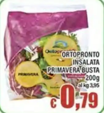 Ortopronto insalata primavera busta