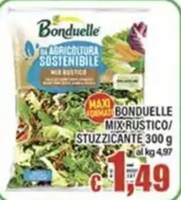 Top Supermercati Bonduelle mix rustico/stuzzicante offerta