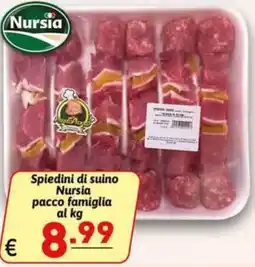 Ipercarni Spiedini di suino Nursia offerta