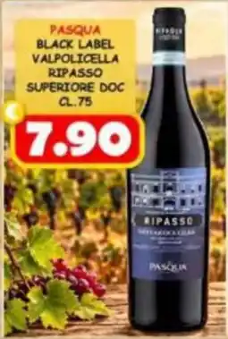 MercADone Pasqua Black Label Valpolicella Ripasso Superiore DOC offerta