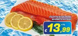 Idromarket Filetto di salmone allevato estero offerta