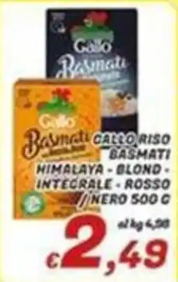 Idromarket Gallo Riso Basmati offerta
