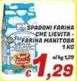 Idromarket Spadoni farina che lievita - farina manitoba offerta