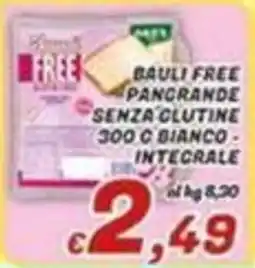 Idromarket Bauli free pangrande senza glutine offerta