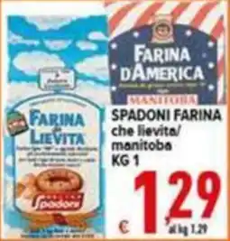Iper Triscount Farina di lievita Spadoni offerta