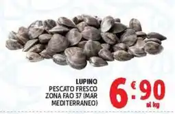 Deco Market Lupino offerta