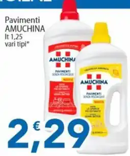 Sidis Pavimenti Amuchina offerta