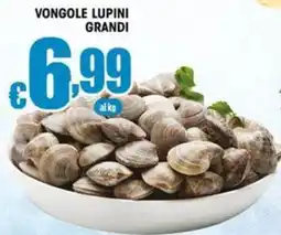 Sacoph Vongole lupini grandi offerta
