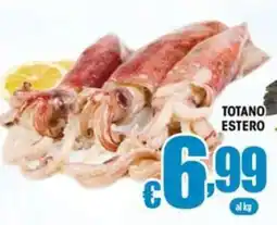 Sacoph Totano estero offerta