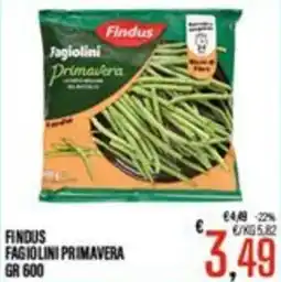 Supermercati EffePiù Findus Fagiolini Primavera offerta
