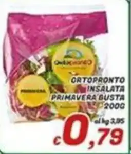 Idromarket Ortopronto insalata primavera busta offerta