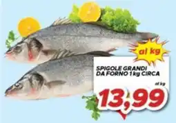 MA Supermercati Spigole grandi da forno offerta