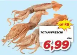 MA Supermercati Totani freschi offerta