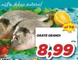 MA Supermercati Orate grandi offerta