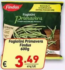 Ipercarni Fagiolini Primavera Findus offerta
