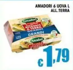 Sacoph Amadori uova grandi offerta