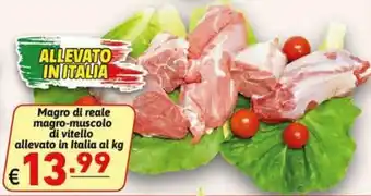 Magro di reale magro-muscolo di vitello
