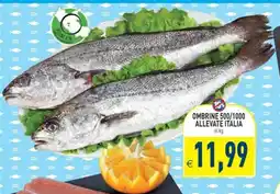 Pim Supermercati Ombrine allevate Italia offerta