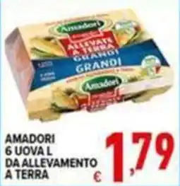 Iper Triscount Amadori uova l da allevamento a terra offerta