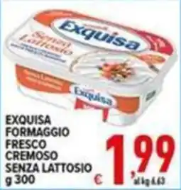 Iper Triscount Exquisa formaggio fresco cremoso senza lattosio offerta