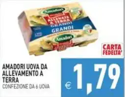 Pim Supermercati Amadori uova da allevamento a terra offerta