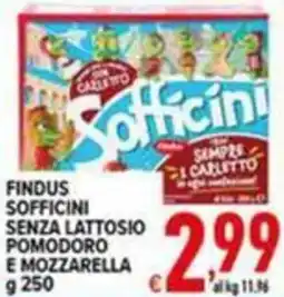 Iper Triscount Findus Sofficini senza lattosio pomodoro e mozzarella offerta