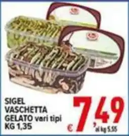 Iper Triscount Sigel vaschetta gelato vari tipi offerta