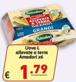 Ipercarni Uova L allevate a terra Amadori offerta