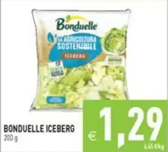 Bonduelle iceberg