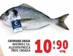 Deco Market Cromaris orata offerta