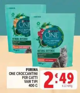 Deco Market Purina One Croccantini per gatti offerta
