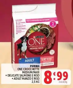 Deco Market Purina One Crocchette Medium/Maxi offerta