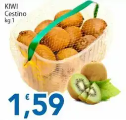 Sidis Kiwi Cestino offerta
