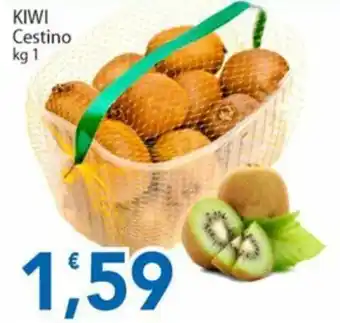 Kiwi Cestino
