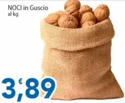Sidis Noci in Guscio offerta