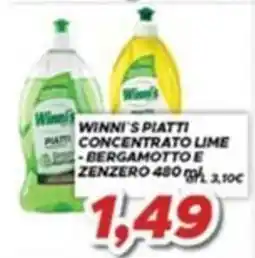 MA Supermercati Winni's piatti concentrato lime bergamotto e zenzero offerta