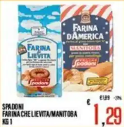 Supermercati EffePiù Farina che lievita/manitoba Spadoni offerta