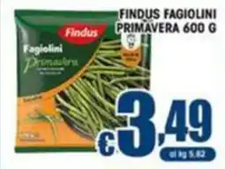 Sacoph Findus Fagiolini Primavera offerta