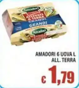 Top Supermercati Amadori uova all terra offerta