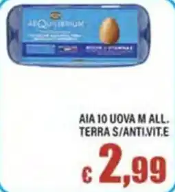 Top Supermercati Aequilibrium uova offerta