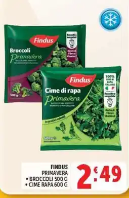Deco Market Findus Primavera offerta