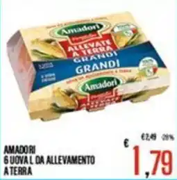Supermercati EffePiù Amadori 6 uova l da allevamento a terra offerta
