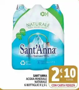 Deco Market Sant'Anna acqua minerale naturale offerta
