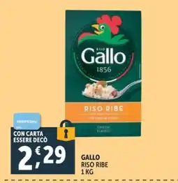 Deco Market Gallo Riso Ribe offerta