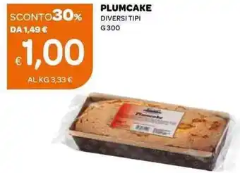 Ekom Plumcake G 300 offerta