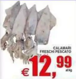 Pewex Calamari freschi pescato offerta