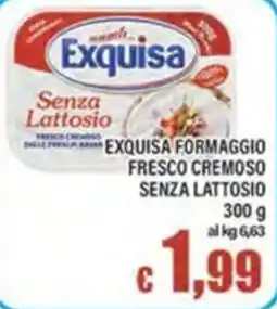 Top Supermercati Exquisa formaggio fresco cremoso senza lattosio offerta