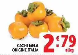 Deco Market Cachi mela offerta