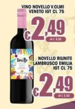 Sacoph Vino Novello V.Olmi offerta