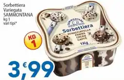 Sidis Sorbettiera Sammontana offerta